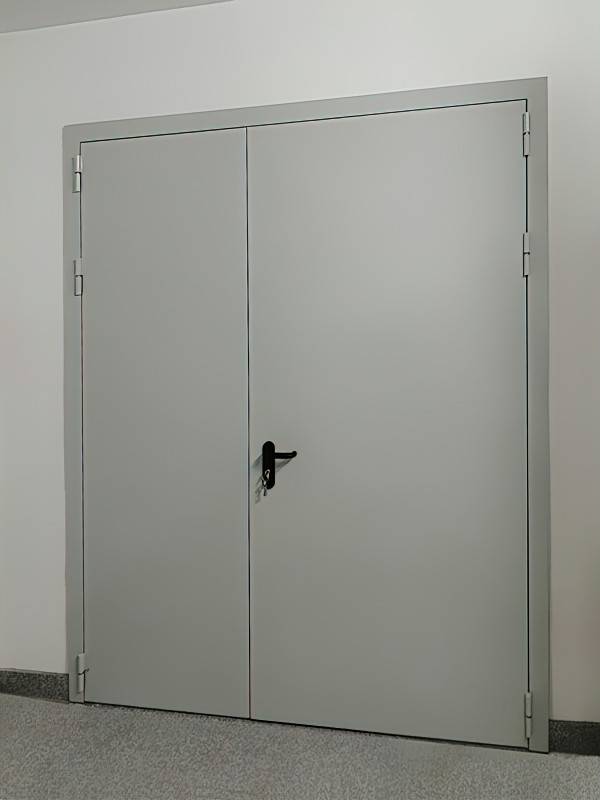 Двупольная дверь Антипаника, фото снаружи («Крокус Экспо») Двупольная дверь Антипаника, фото снаружи («Крокус Экспо»)