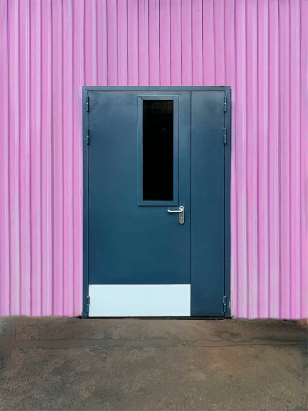 Огнезащитная дверь с остеклением (Новодмитровская школа) Огнезащитная дверь с остеклением (Новодмитровская школа)